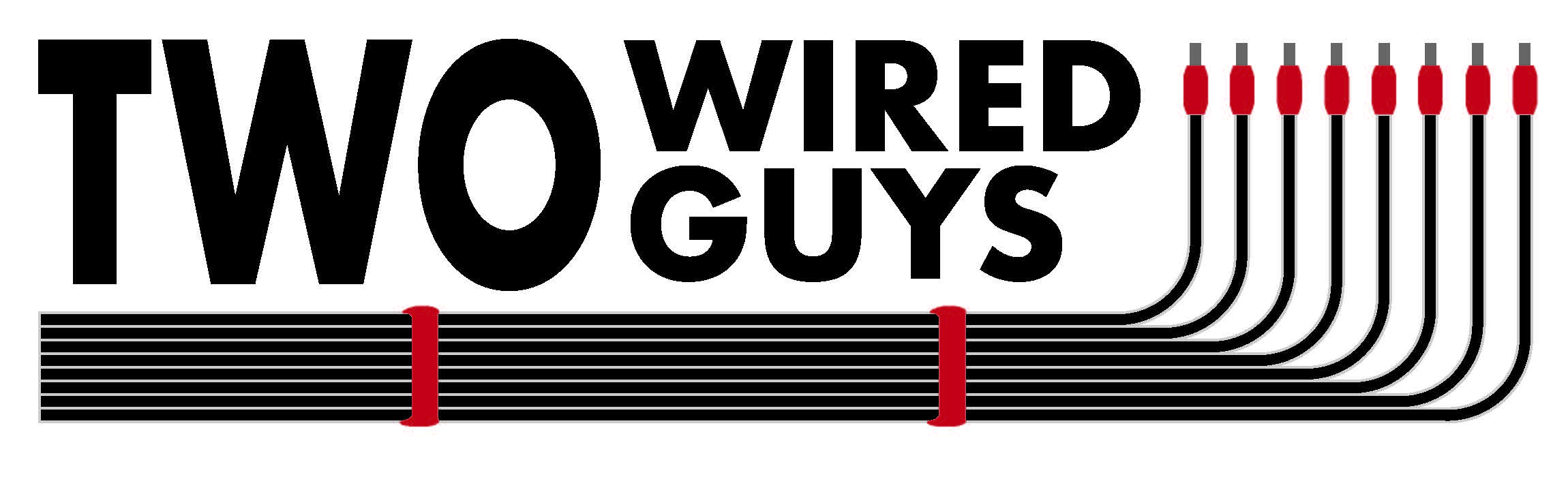 Two Wired Guys Logo